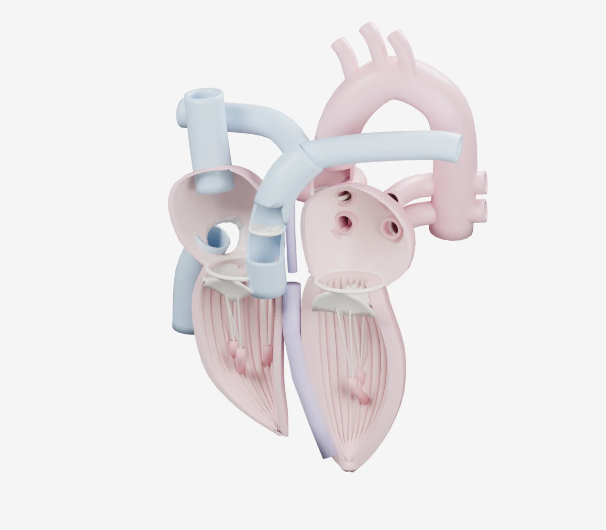 Blender render of the heart pump apparatus